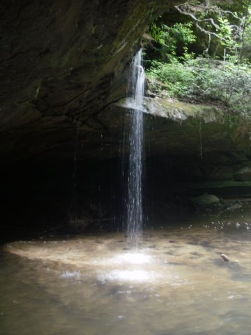 p4282155.jpg