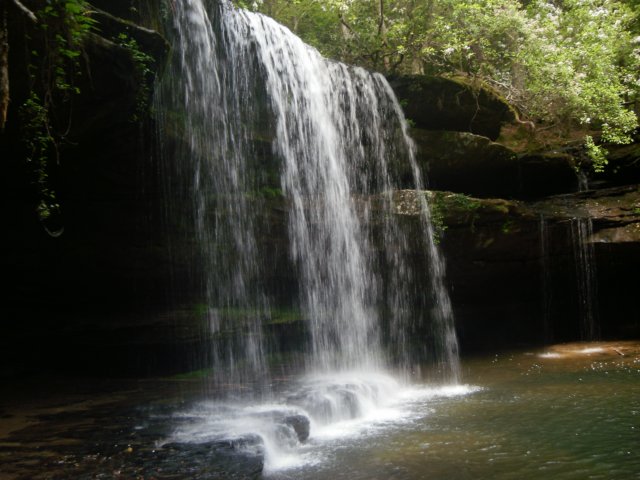 p4282164.jpg