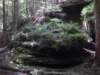 p4282167_small.jpg