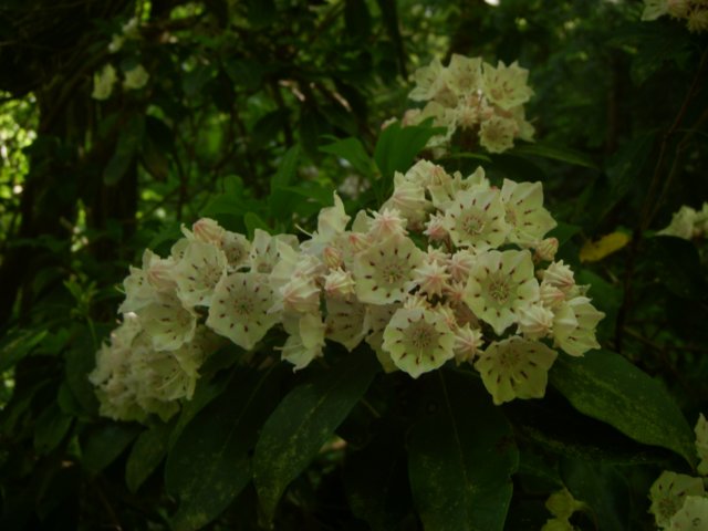 p4282178.jpg