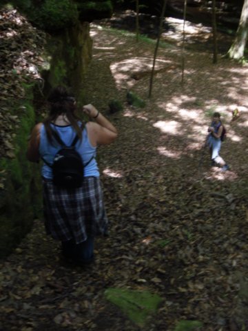 p4282187.jpg