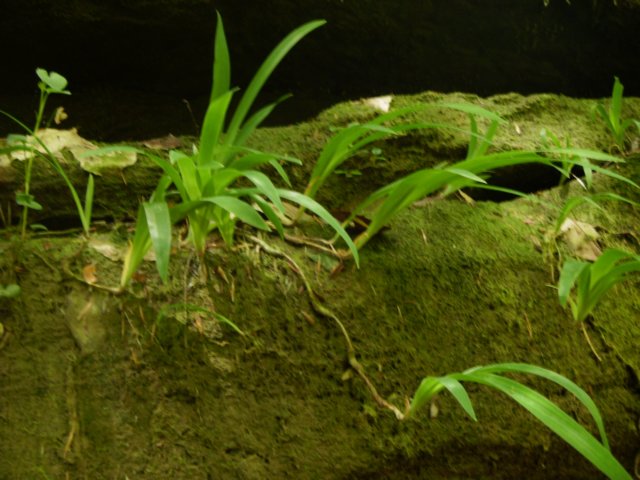p4282220.jpg
