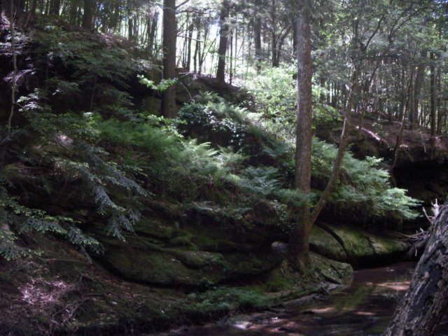 p4282225.jpg