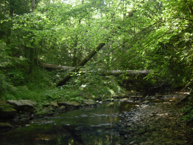 p5110011.jpg