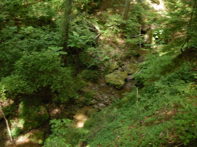 p5110042.jpg