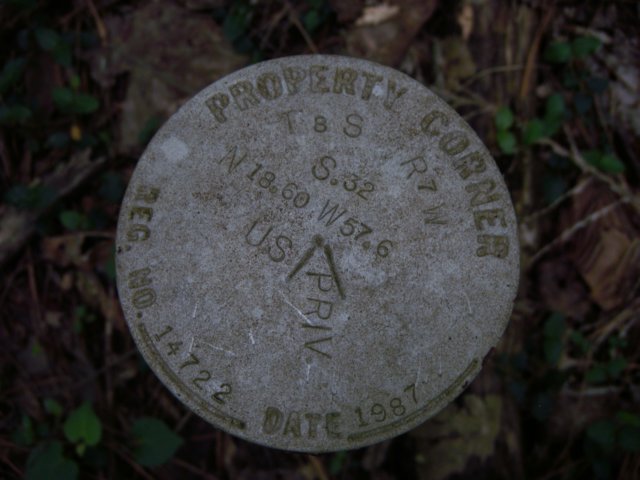 p5110098.jpg