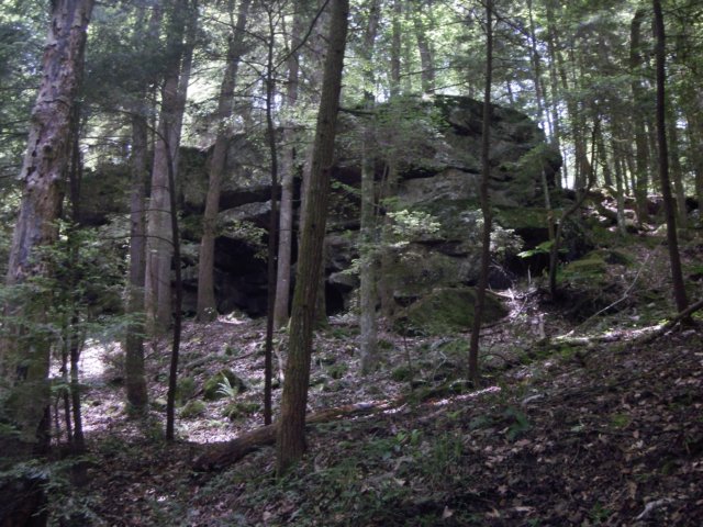p5110101.jpg