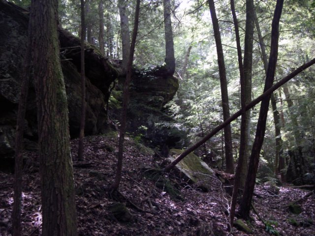 p5110175.jpg