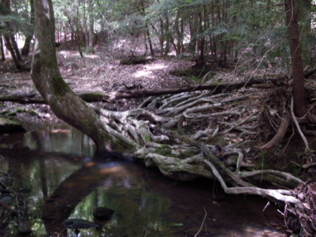 p5110178.jpg