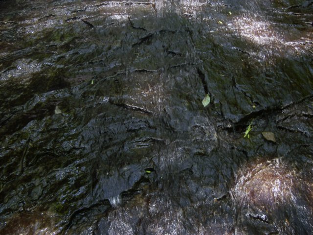 p6030837.jpg