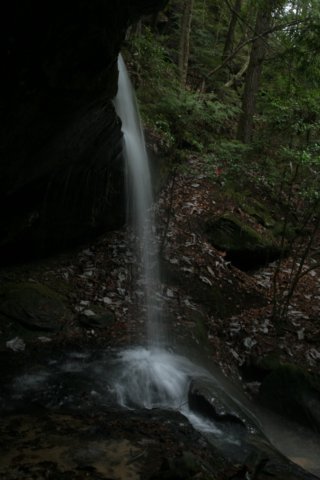img_9236.jpg