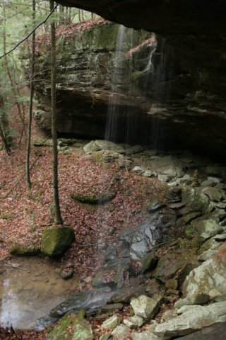 img_9556.jpg
