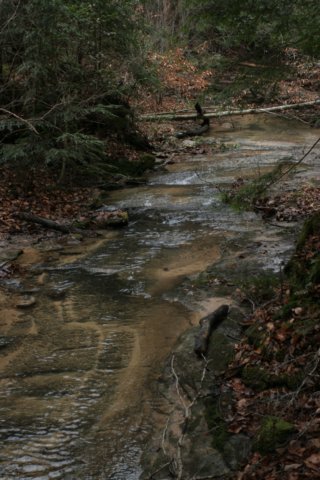 img_9568.jpg