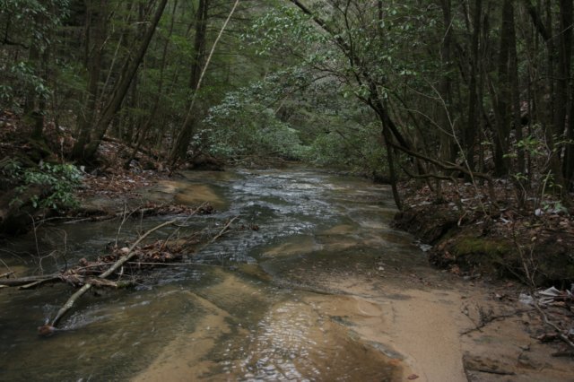 img_9676.jpg