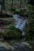 img_9834_small.jpg