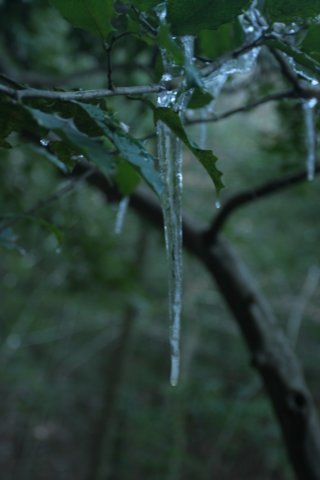 img_9920.jpg