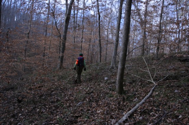 img_0737.jpg