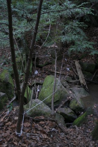img_2138.jpg