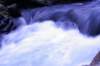img_2493edit_small.jpg