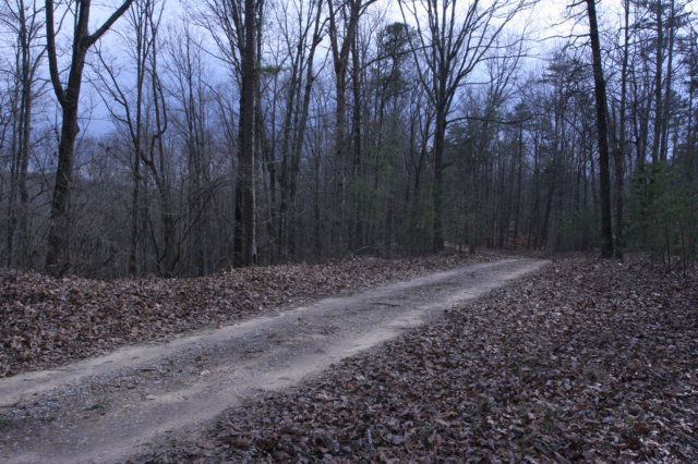 backontheroad.jpg