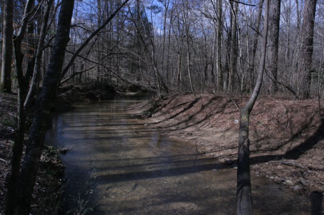 daviscreek.jpg