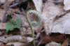 img_4600_small.jpg
