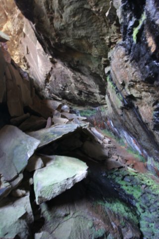 img_4632.jpg