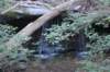 waterfall4_small.jpg