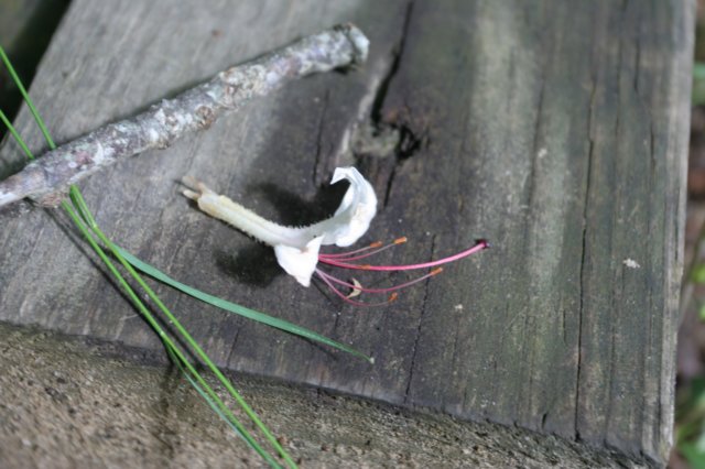 img_5687.jpg