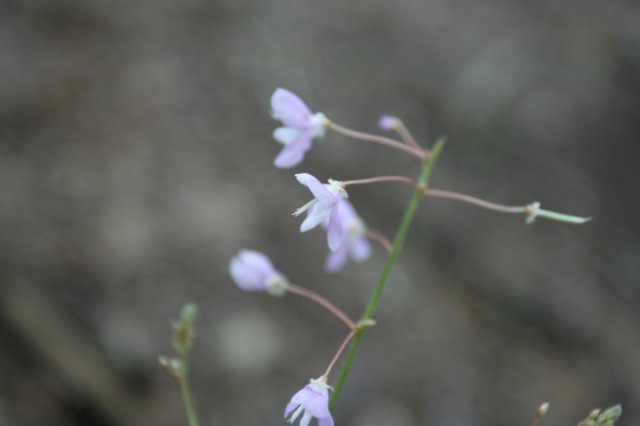 img_8587.jpg