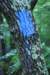 img_7769_small.jpg