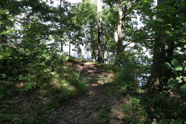 img_8901.jpg