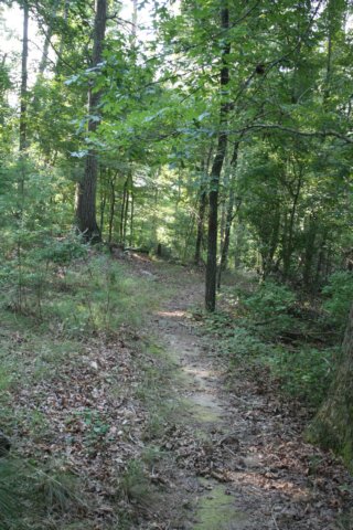 img_9200.jpg