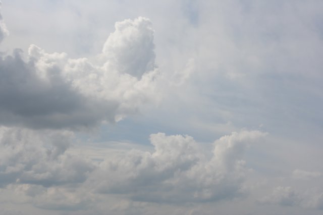 img_9350.jpg