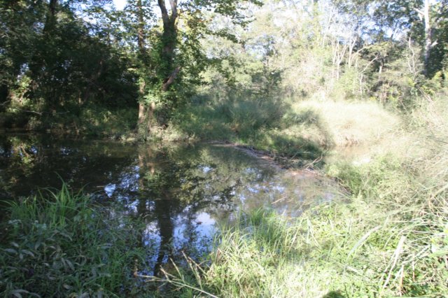 beaverdamfloodingthetrail.jpg