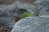 img_5077_small.jpg