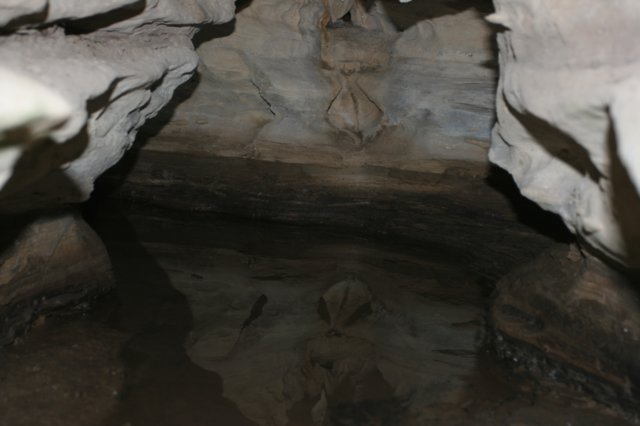 img_5420.jpg