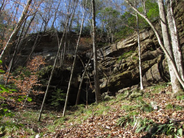 img_0124.jpg