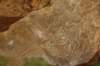 img_6841_small.jpg
