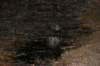 img_6859_small.jpg