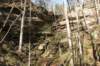 waterfall6_small.jpg