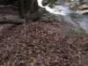 leavenotrace_small.jpg