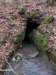 comingoutofthecave_small.jpg