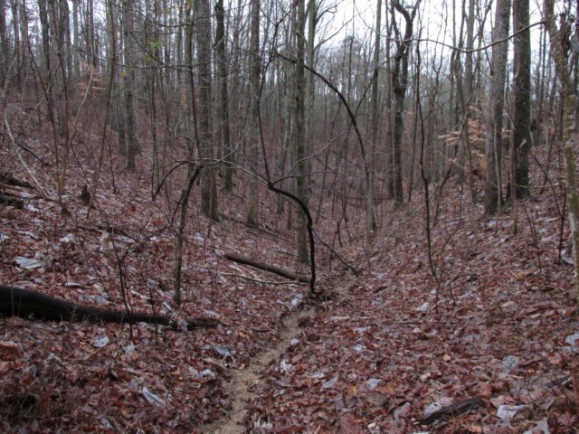 img_0016.jpg
