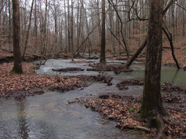img_0156.jpg