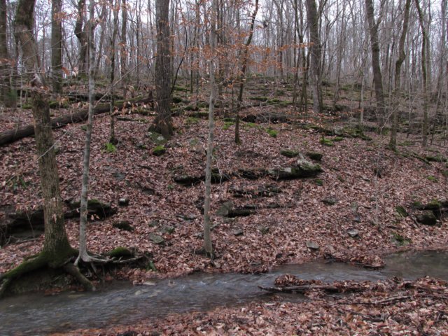 img_0160.jpg