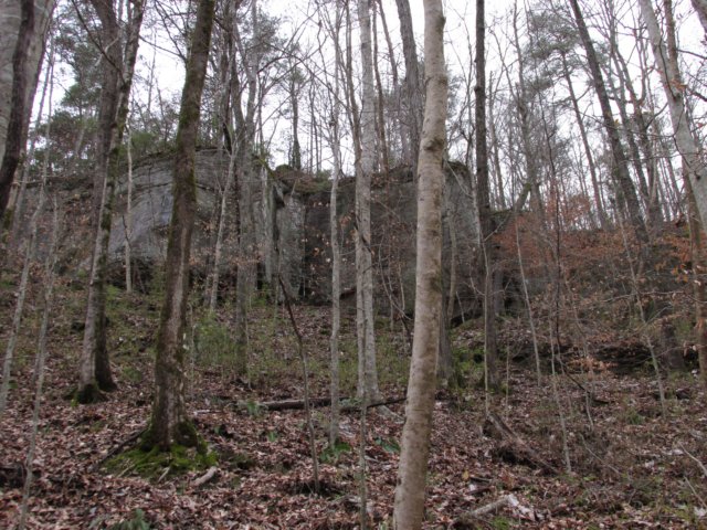 img_0261.jpg