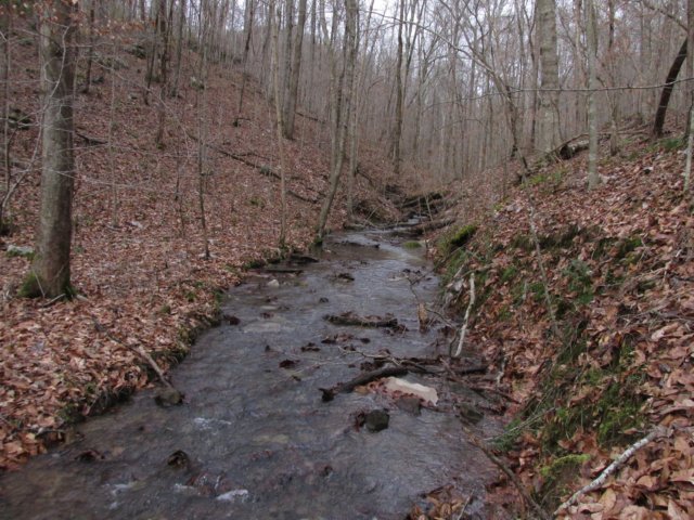 img_0276.jpg