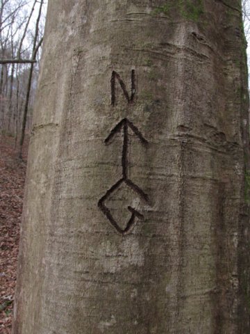 northarrow.jpg