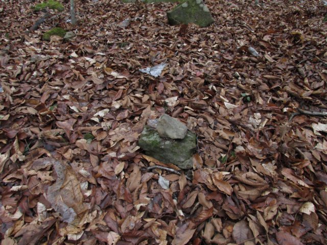 remnantsofacairn.jpg